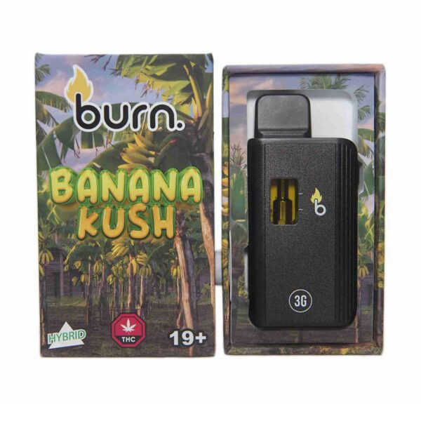 Banana Kush Distillate Vape Pen (3 g) by Burn